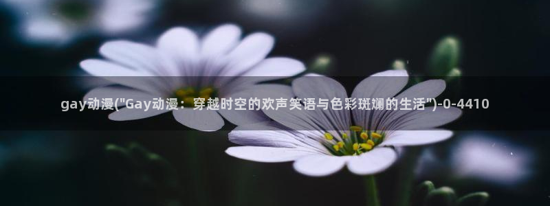 魅魔动漫：gay动漫(\
