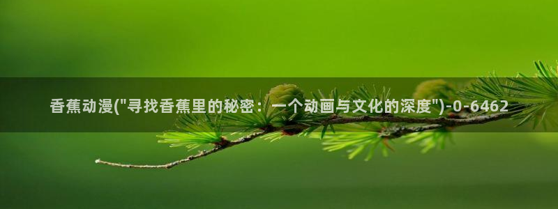 火影忍者动漫