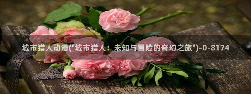 新番动漫