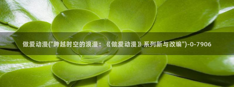 同人动漫