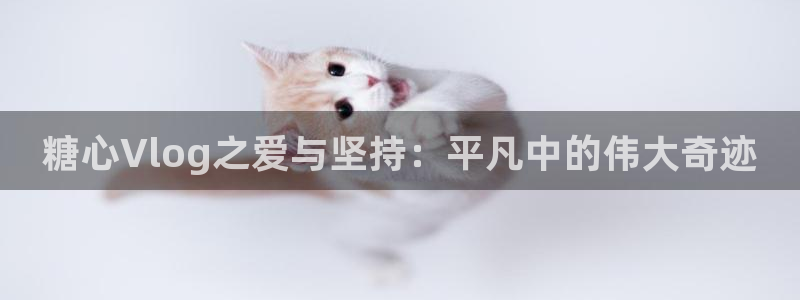 糖心新品vlog：糖心Vlog之爱与坚持：平凡中的伟大奇迹