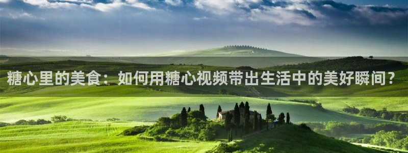 糖心vlog户外挑战：糖心里的美食：如何