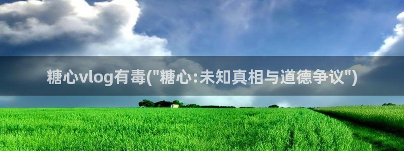 糖心vlog小糖酱：糖心vlog有毒(\