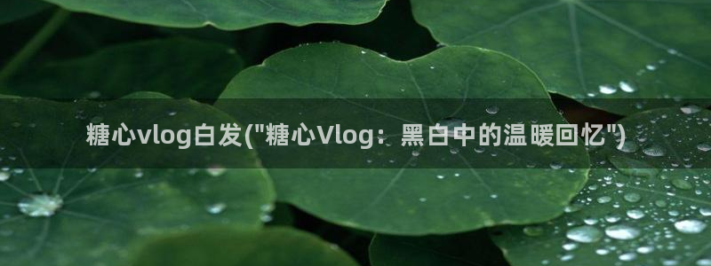 糖心vlog免费星星：糖心vlog白发(\