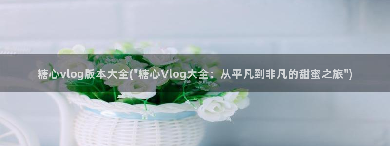 搜索糖心vlog：糖心vlog版本大全(\