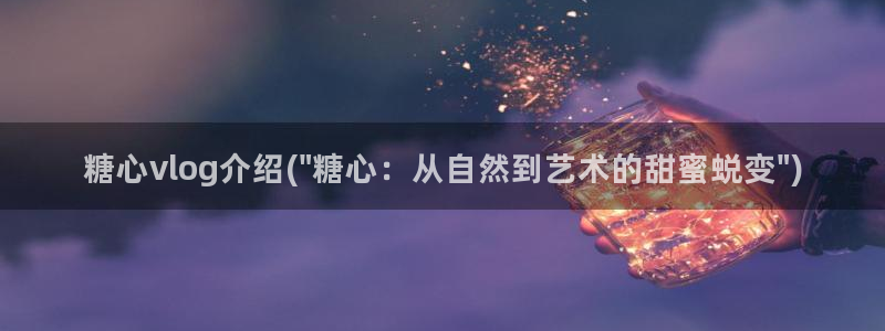 糖心vlog 鸡蛋饼：糖心vlog介绍(\