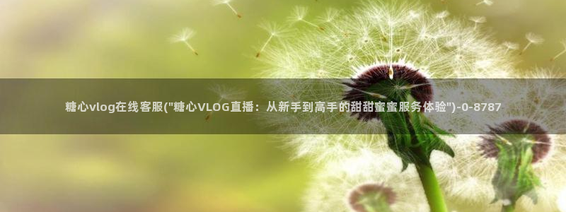 心糖vlog苹果：糖心vlog在线客服(\