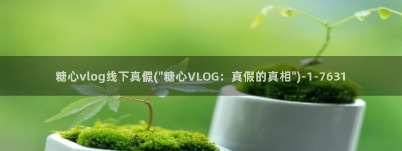 糖心vlog下载ios：糖心vlog线下