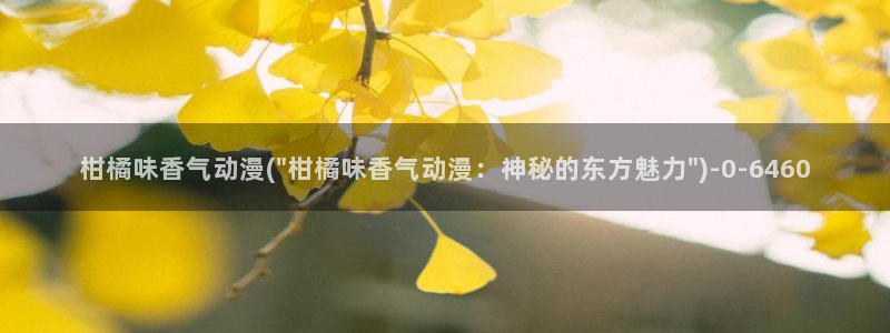火影同人动漫